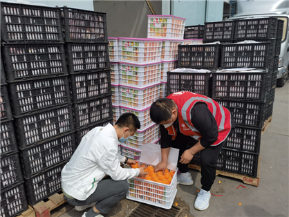 中国农工民主党主办的中国初级卫生保健基金会向上海医疗卫生系统捐赠40吨新鲜蔬果(图3)
